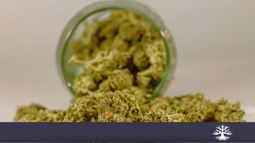 Cannabis Infused Products: A Growing Trend in Modern Cannabis