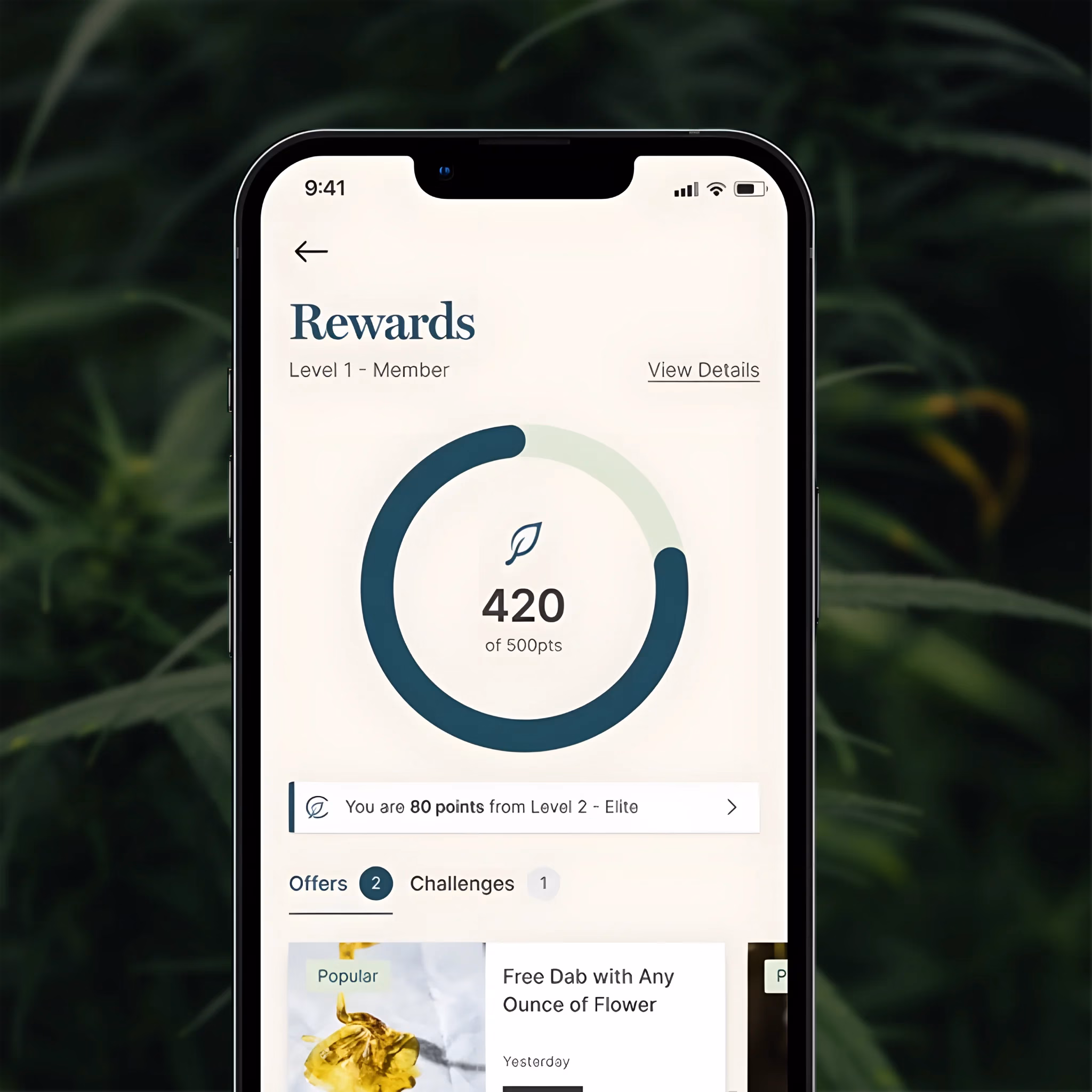 fire&oak dispensary-home_cel