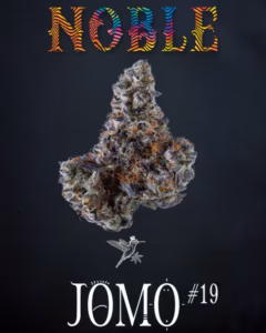 Cannabis Flower: The Real Experience Starts Here 3 FIRE & OAK Noble | jomo #19 | 7g
