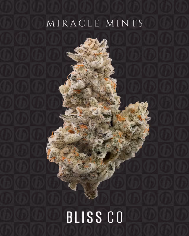 Best Flower in Mount Holly NJ | FIRE & OAK