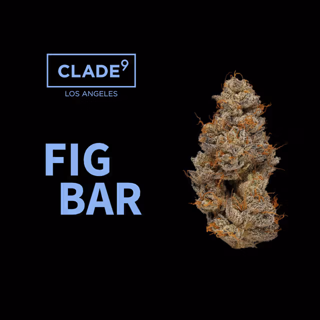 Hybrid vs Indica Flower in Mount Holly NJ: How to Choose the Right Format 4 FIRE & OAK hybrid vs indica flower Mount Holly NJ | FIRE & OAK