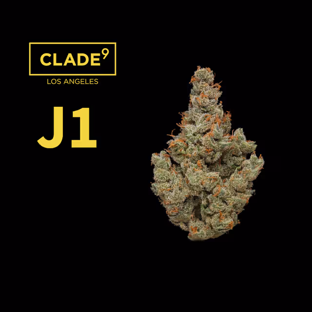 Hybrid vs Indica Flower in Mount Holly NJ: How to Choose the Right Format 2 FIRE & OAK hybrid vs indica flower Mount Holly NJ | FIRE & OAK