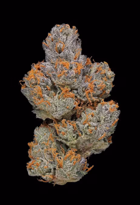 Hybrid vs Indica Flower in Mount Holly NJ: How to Choose the Right Format 3 FIRE & OAK hybrid vs indica flower Mount Holly NJ | FIRE & OAK