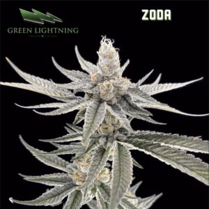 Zoda - Smalls 7g 10 FIRE & OAK | FIRE & OAK