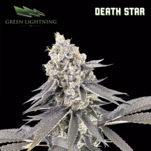 Death Star - Smalls 7g 12 FIRE & OAK | FIRE & OAK