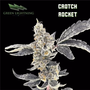 Crotch Rocket - Smalls 7g 13 FIRE & OAK | FIRE & OAK