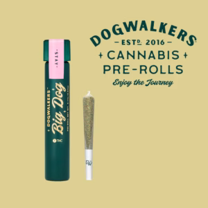 (STAY) Bananaconda - Single Pre Roll 1g 6 FIRE & OAK | FIRE & OAK